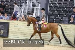 22BUCK_07426 proof