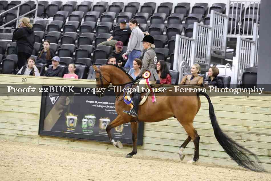 Proof 22BUCK_07427