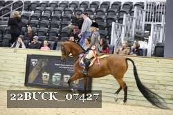 22BUCK_07427 proof