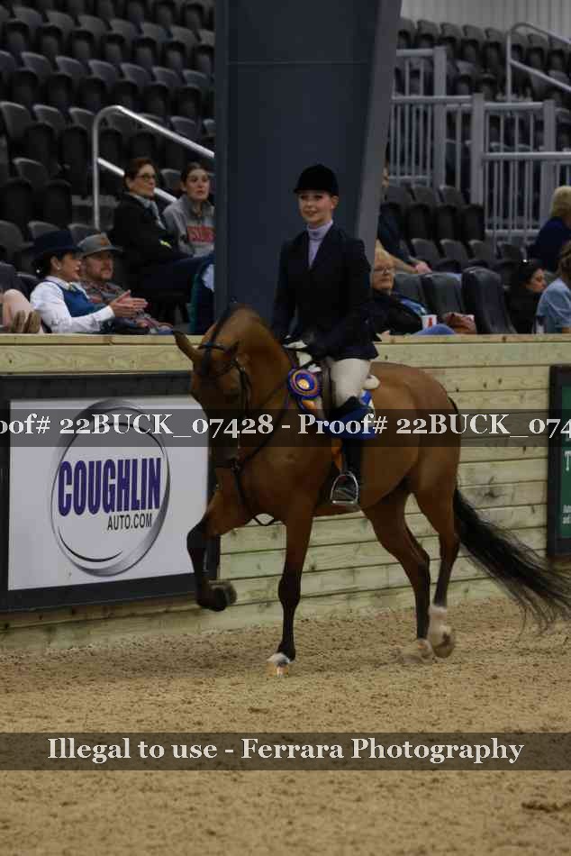 Proof 22BUCK_07428