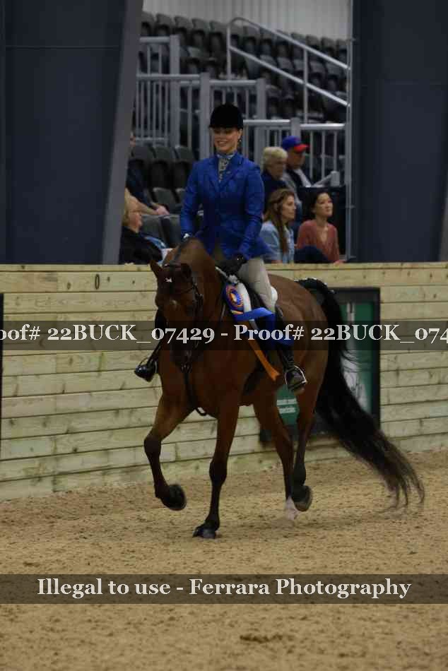 Proof 22BUCK_07429