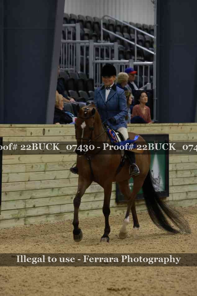 Proof 22BUCK_07430