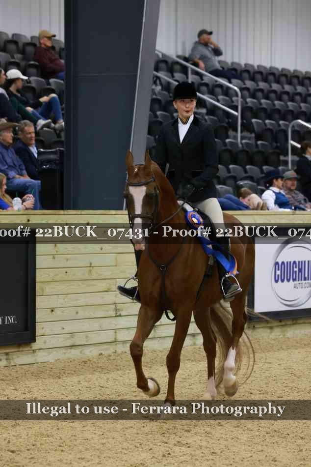 Proof 22BUCK_07431