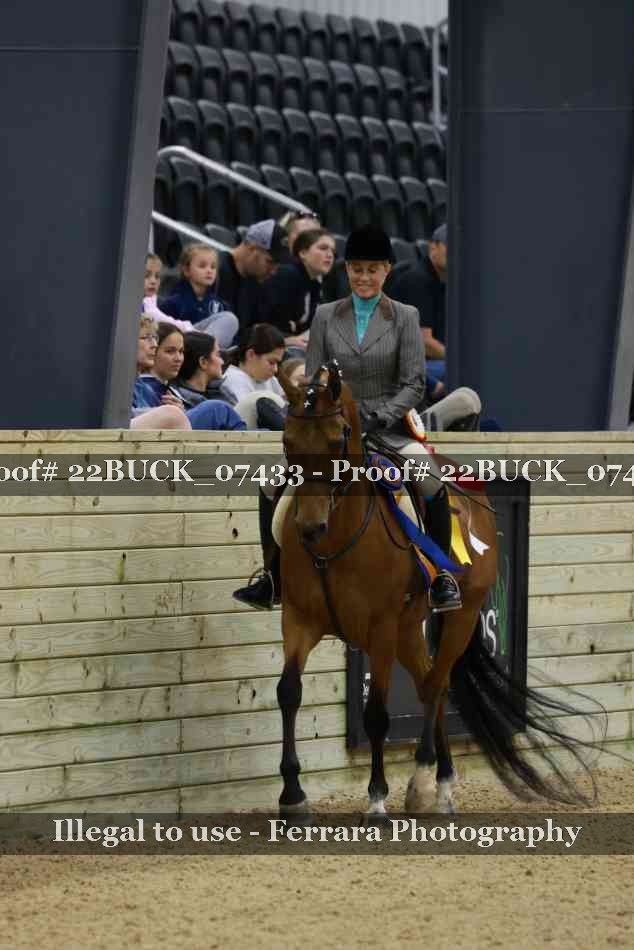 Proof 22BUCK_07433