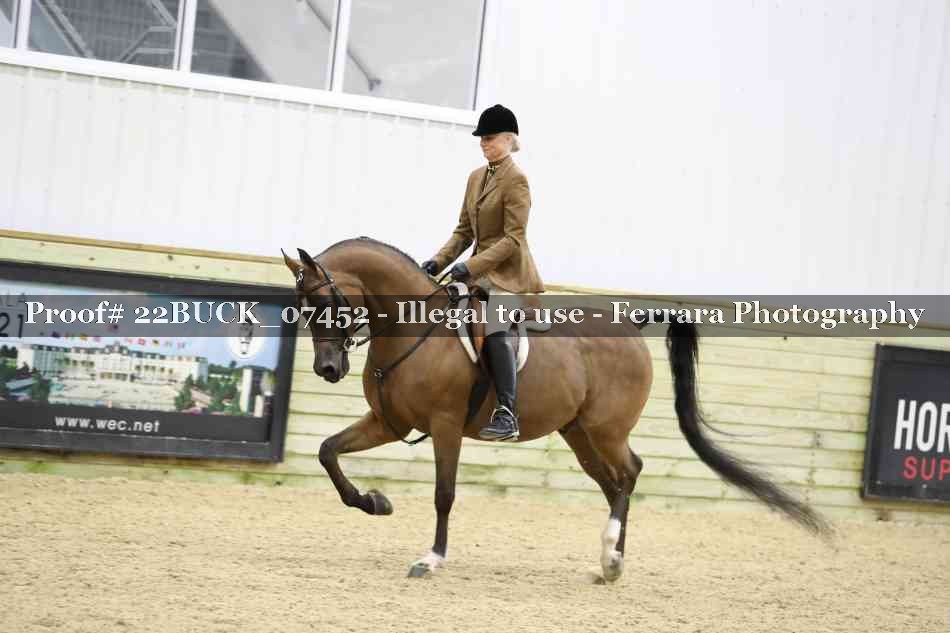 Proof 22BUCK_07452