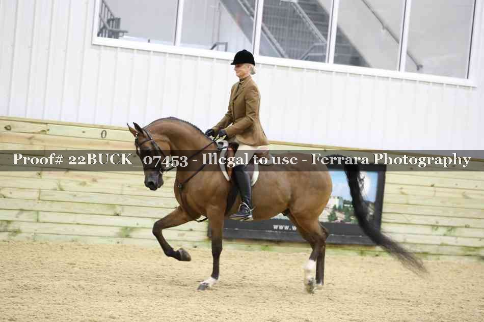 Proof 22BUCK_07453