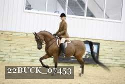 22BUCK_07453 proof