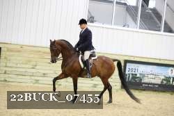 22BUCK_07455 proof