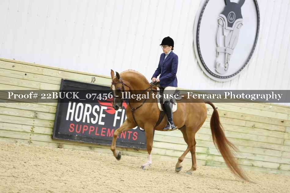 Proof 22BUCK_07456