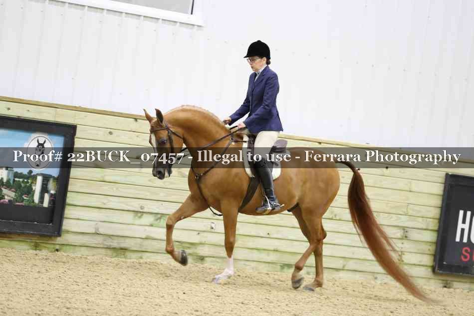 Proof 22BUCK_07457