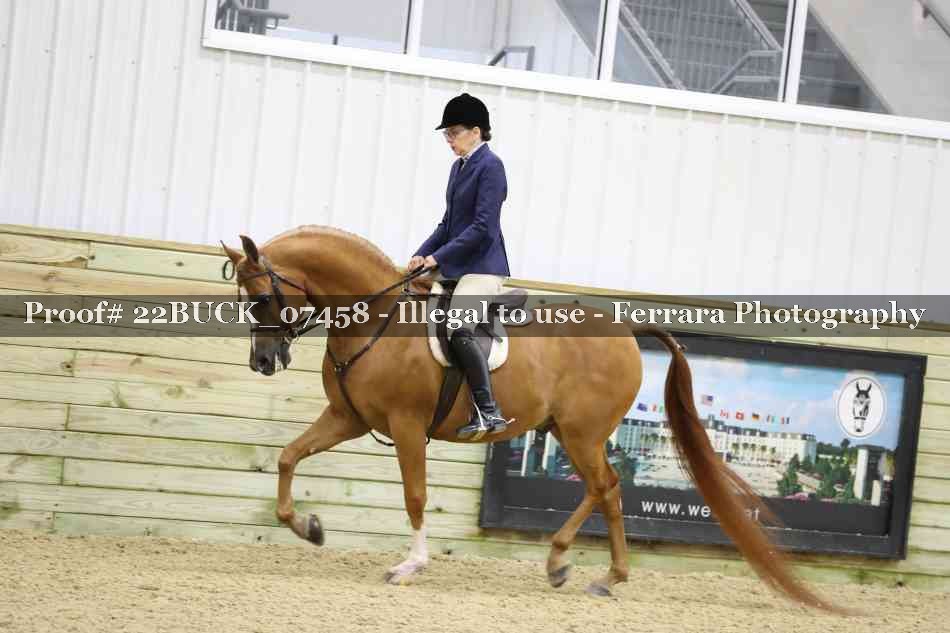Proof 22BUCK_07458