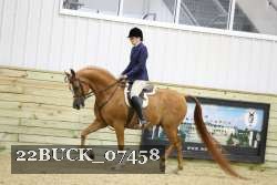 22BUCK_07458 proof