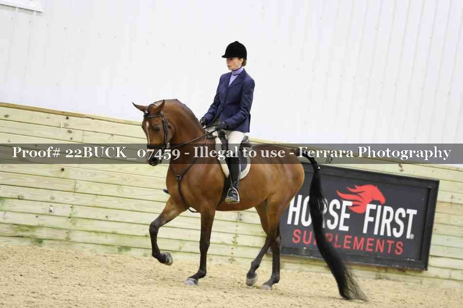 Proof 22BUCK_07459