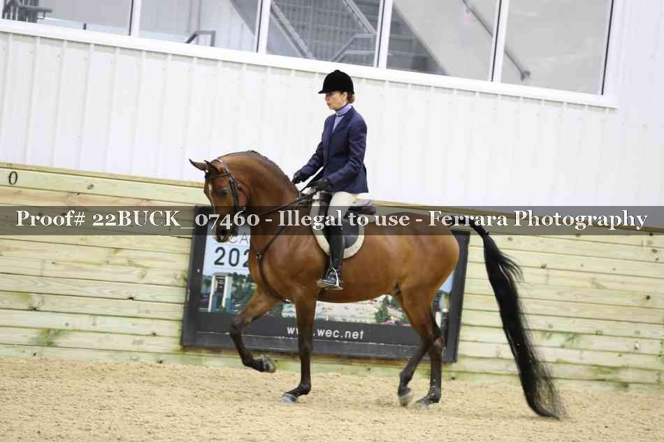 Proof 22BUCK_07460