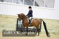22BUCK_07460 proof