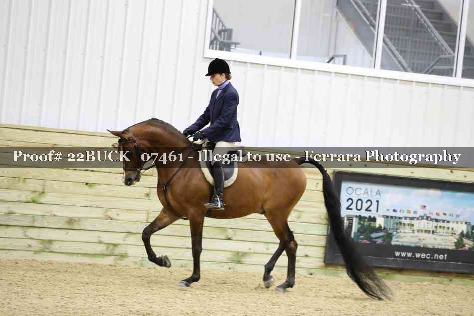 Proof 22BUCK_07461