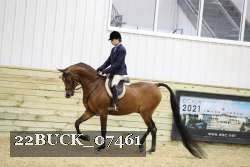 22BUCK_07461 proof