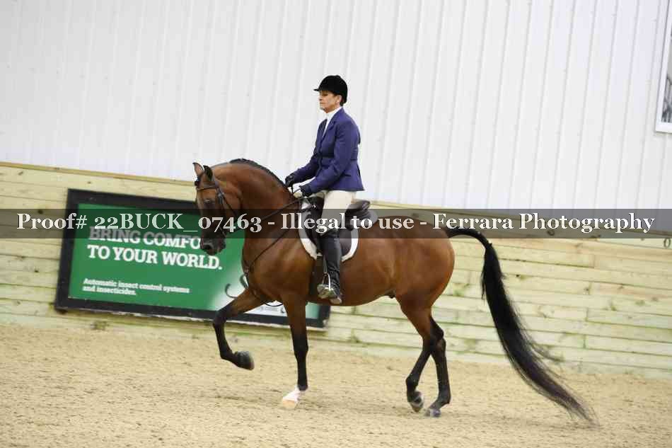 Proof 22BUCK_07463