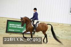 22BUCK_07463 proof
