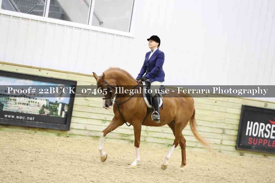 Proof 22BUCK_07465