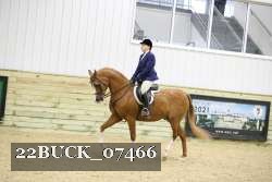 22BUCK_07466 proof