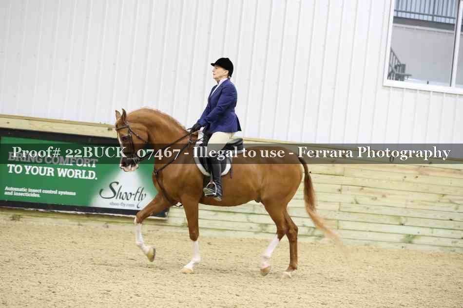 Proof 22BUCK_07467
