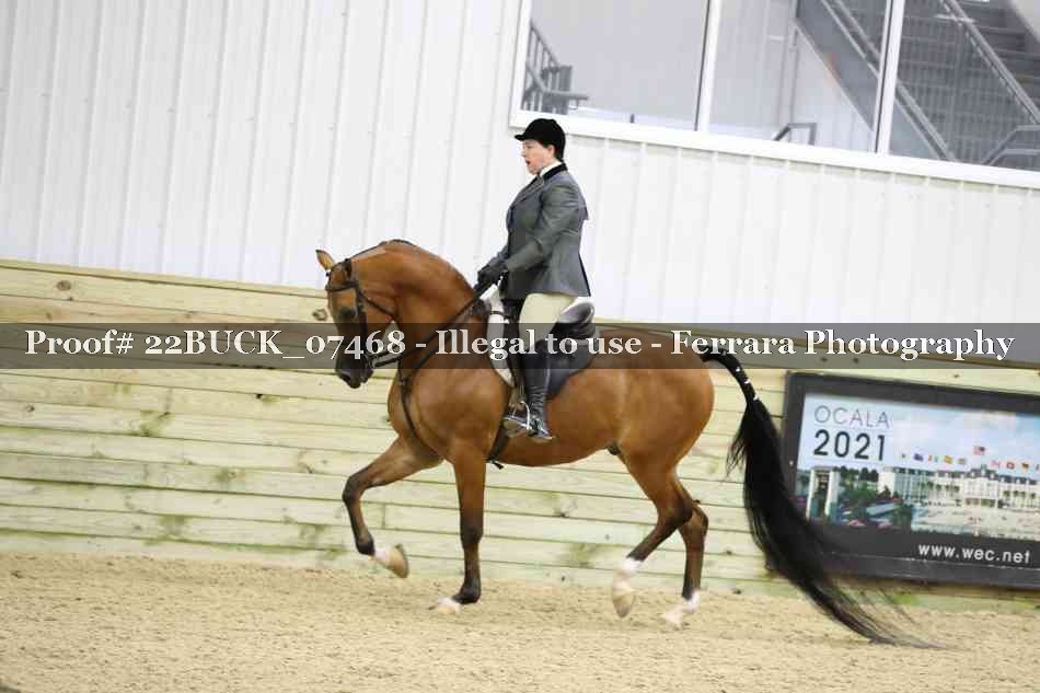 Proof 22BUCK_07468