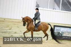 22BUCK_07468 proof