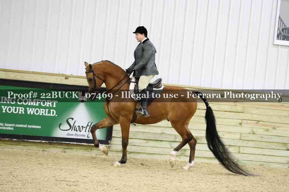 Proof 22BUCK_07469