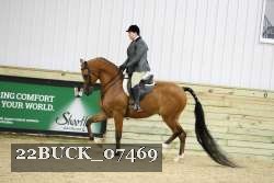 22BUCK_07469 proof
