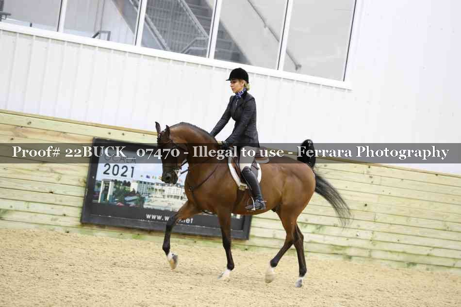 Proof 22BUCK_07470