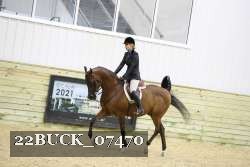 22BUCK_07470 proof