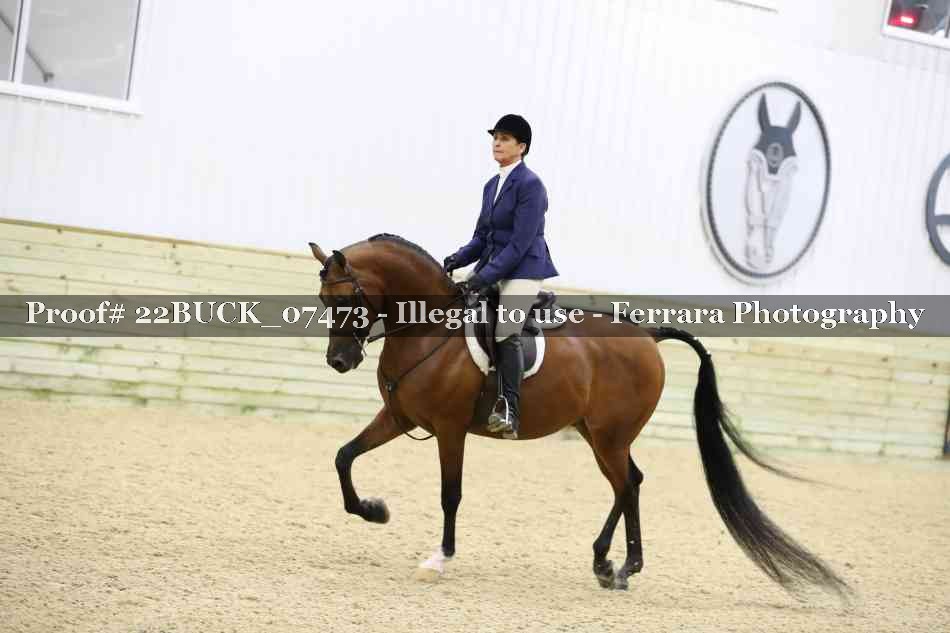 Proof 22BUCK_07473