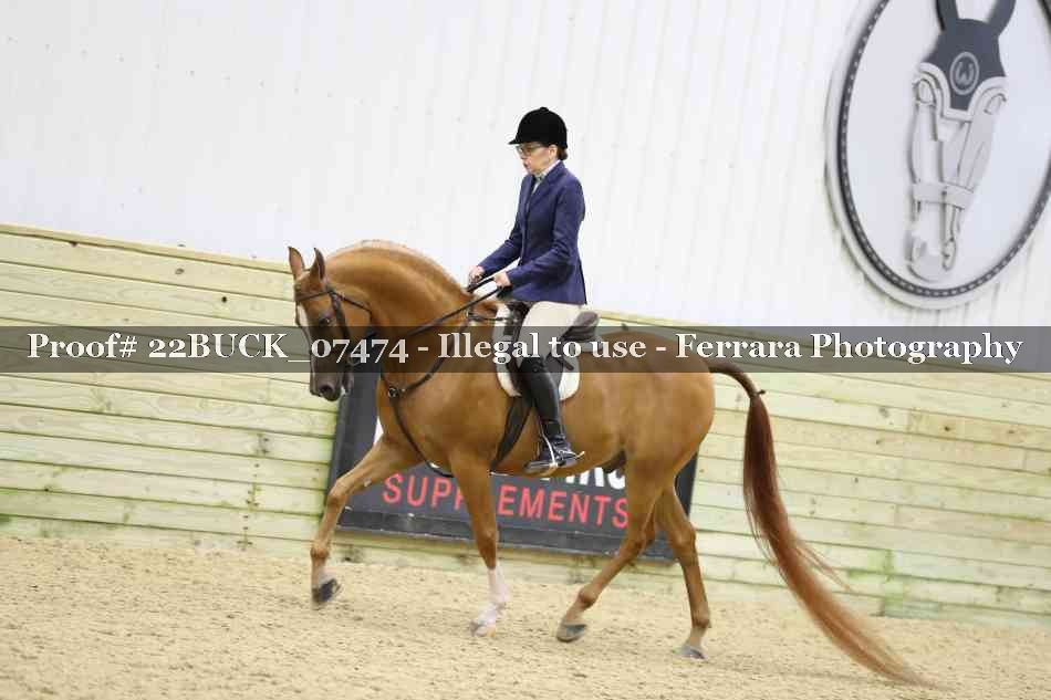 Proof 22BUCK_07474
