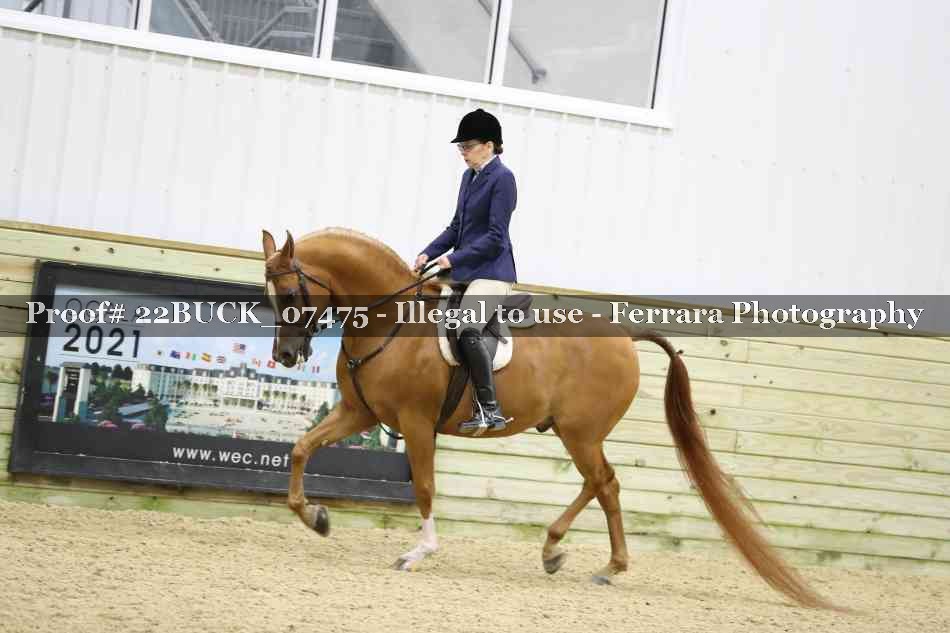 Proof 22BUCK_07475