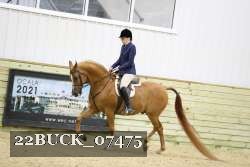 22BUCK_07475 proof