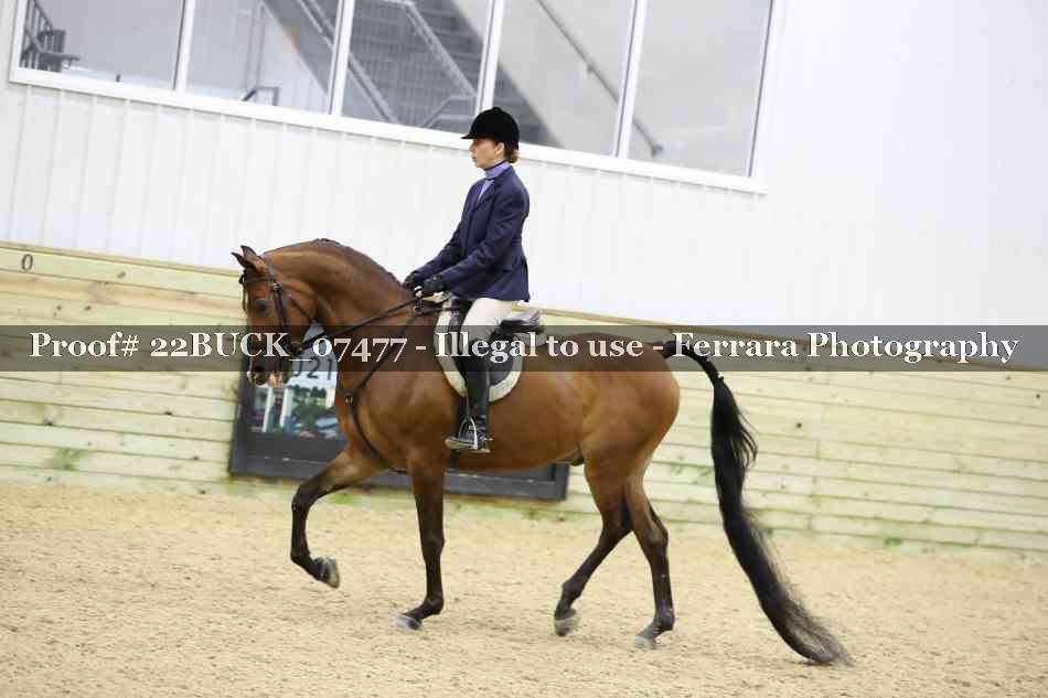Proof 22BUCK_07477