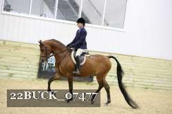 22BUCK_07477 proof