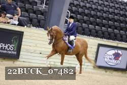 22BUCK_07482 proof