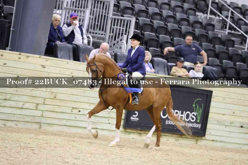 Proof 22BUCK_07483