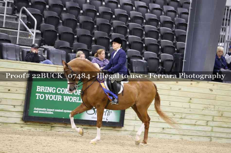 Proof 22BUCK_07484