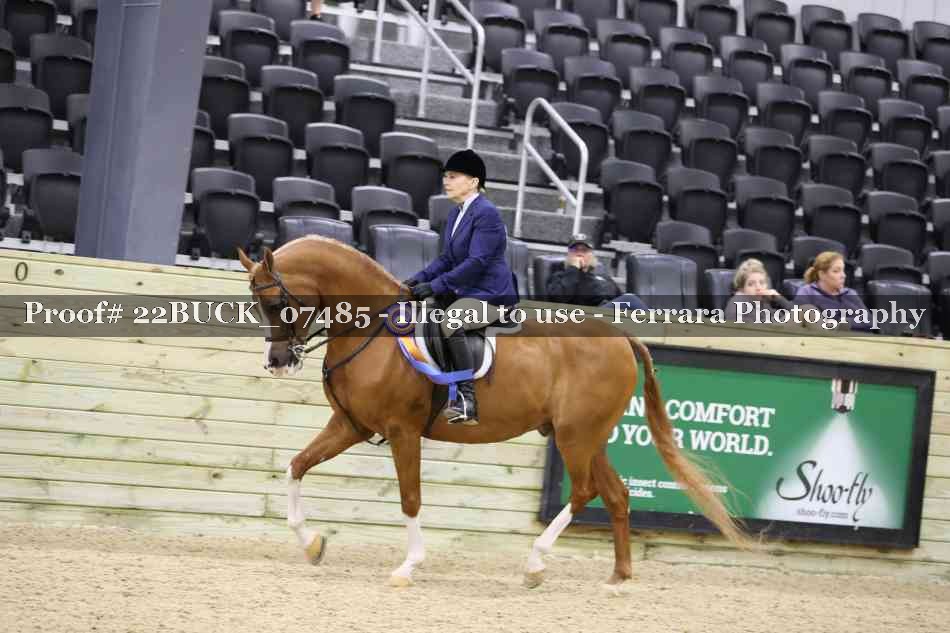Proof 22BUCK_07485