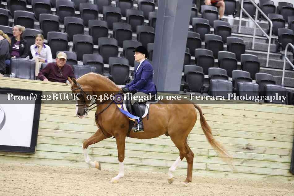 Proof 22BUCK_07486