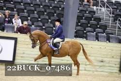 22BUCK_07486 proof