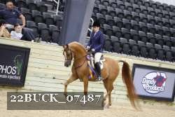 22BUCK_07487 proof