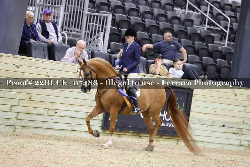 Proof 22BUCK_07488