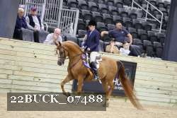 22BUCK_07488 proof