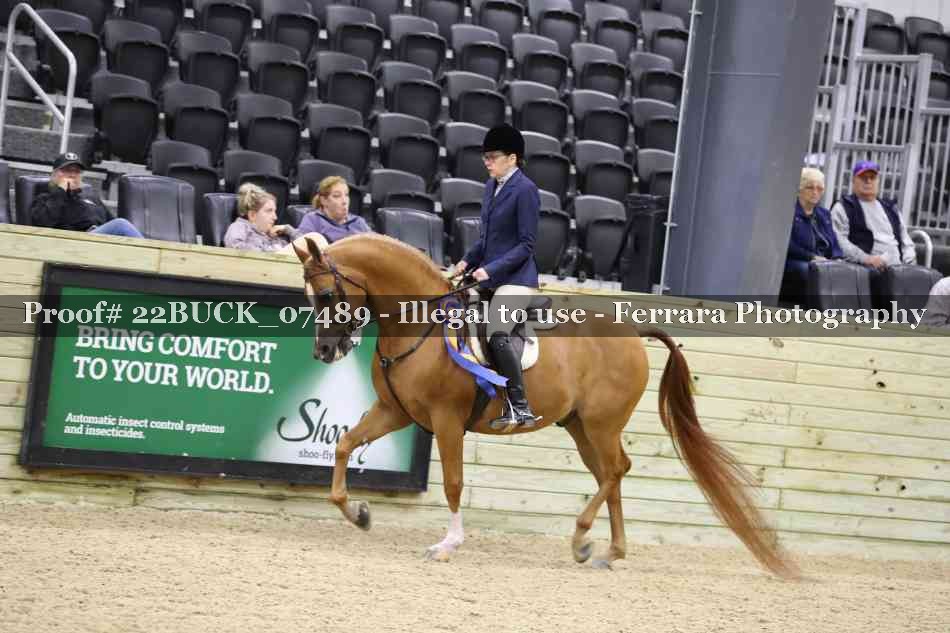 Proof 22BUCK_07489