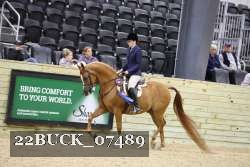 22BUCK_07489 proof