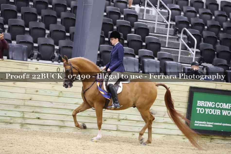 Proof 22BUCK_07490